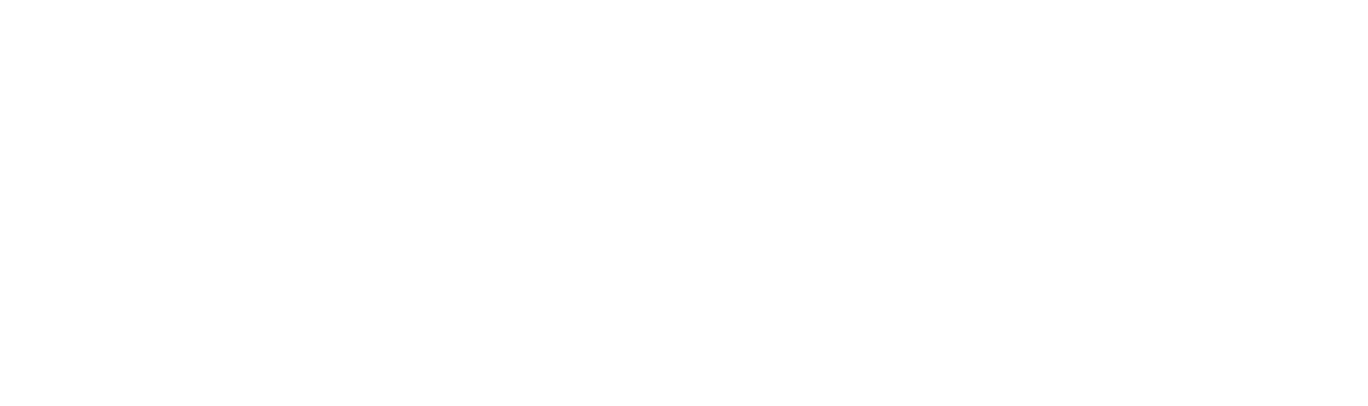 Stash_Primary-Logo White